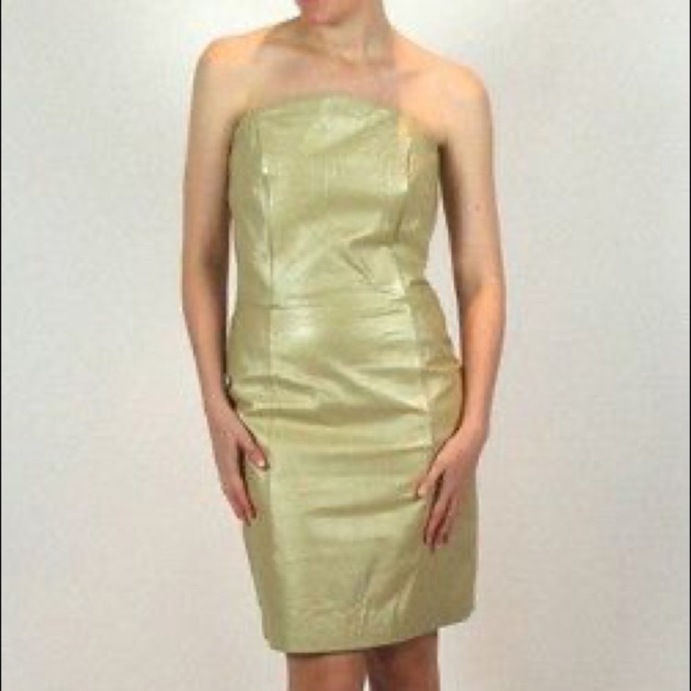 Leather Champagne Gold Dress | David Benjamin